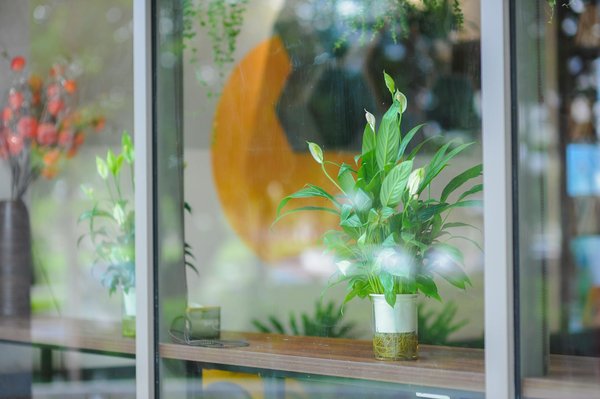 Matelas en latex : confort et bien-être pour vos nuits